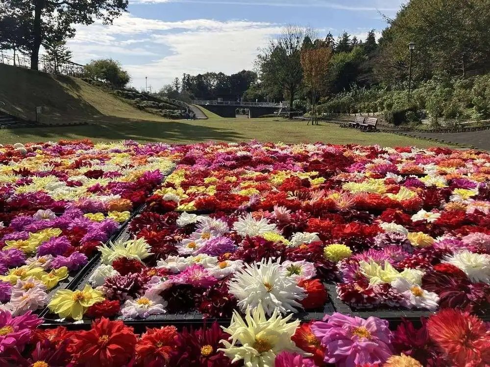 🏞️ 길의 역 사계절의 고향 공원(미치노에키 시키노사토 코엔) 푸드 헌터 파크 이미지 3